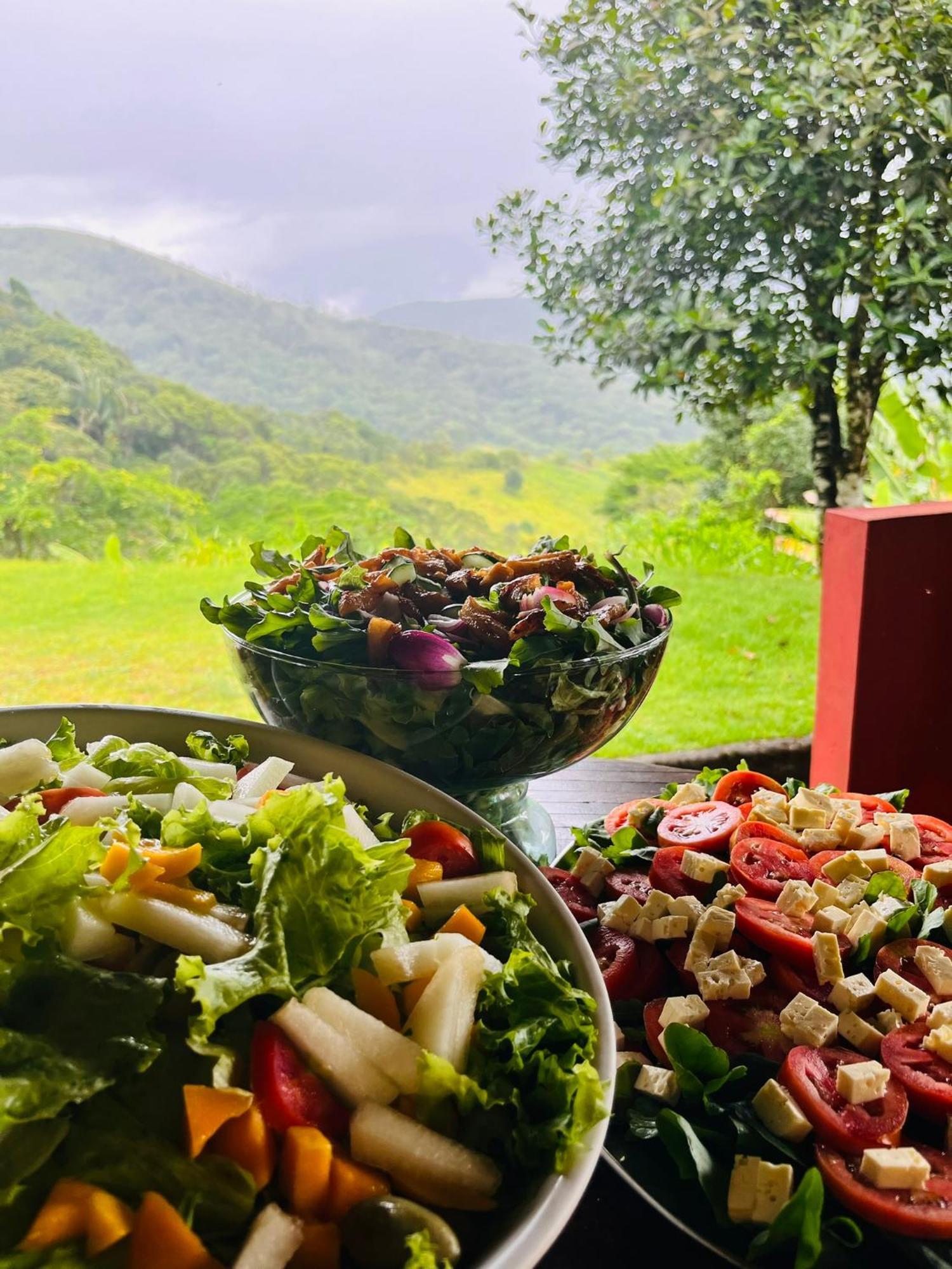 Pousada E Restaurante Alto Da Serra ボニート エクステリア 写真